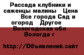 Рассада клубники и саженцы малины › Цена ­ 10 - Все города Сад и огород » Другое   . Вологодская обл.,Вологда г.